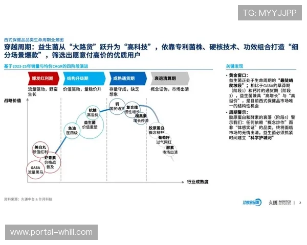 体系建设期内数据中枢实现全方位支撑 促使广告调配效率达成结构性跃迁